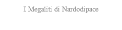 I Megaliti di Nardodipace