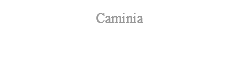 Caminia
