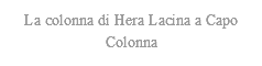 La colonna di Hera Lacina a Capo Colonna