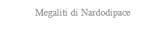 Megaliti di Nardodipace